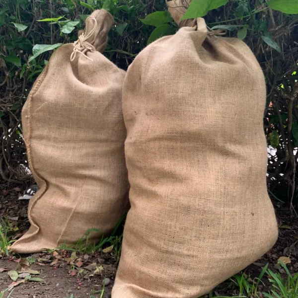 Saco de Yute (Últimas 240 unidades)